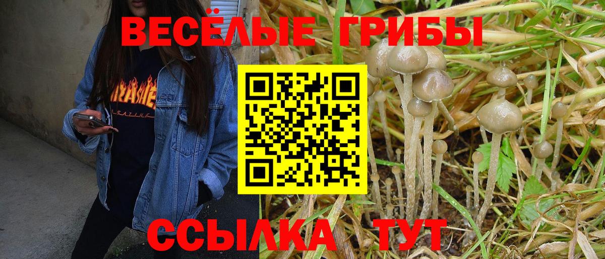 Галлюциногенные грибы прущие грибы  Псилоцибиновые грибы мухоморы  Вход с VPN  где можно купить   Долгопрудный 